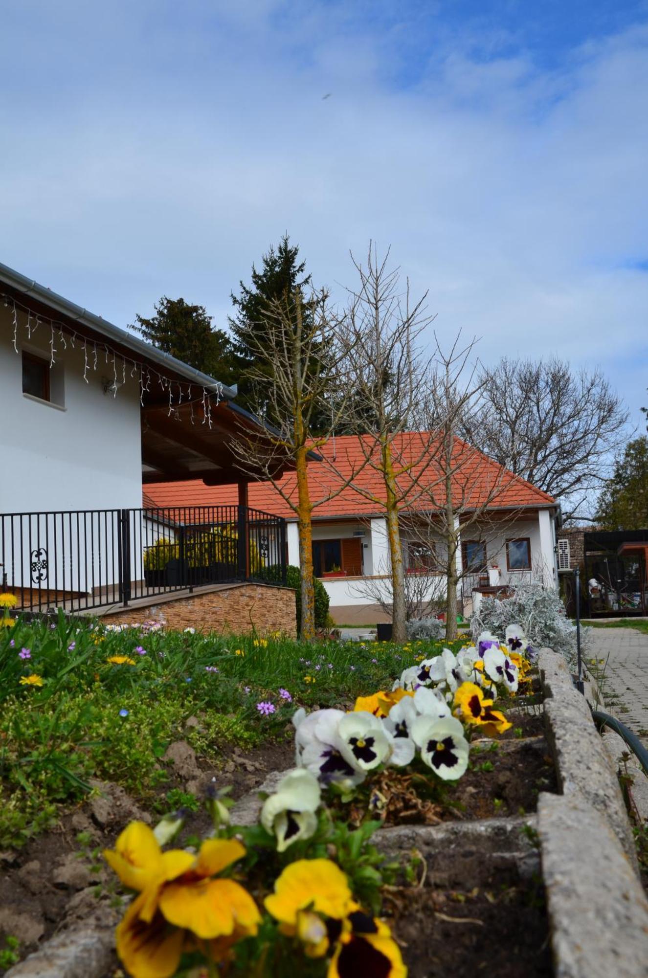 Kerekerdo Vendeghaz Otel Kisszékely Dış mekan fotoğraf